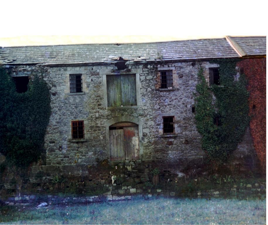 Fort House Bed & Breakfast Kilbeggan Exterior foto